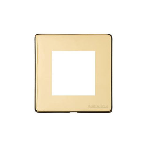 Vintage Range-Unlacquered Polished Brass -2 Module Euro Plate