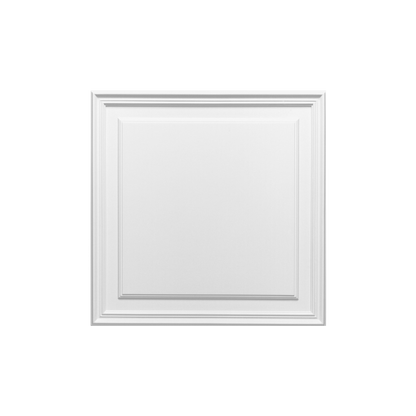 D503 Orac 3D Wall Panel