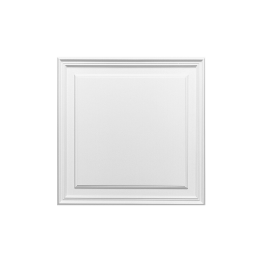 D503 Orac 3D Wall Panel