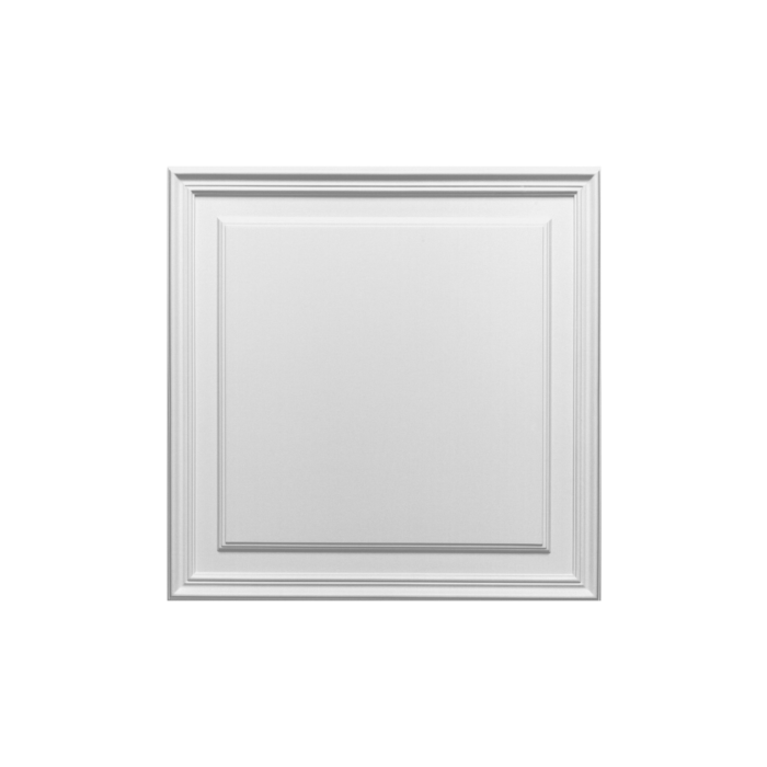 D503 Decorative Element